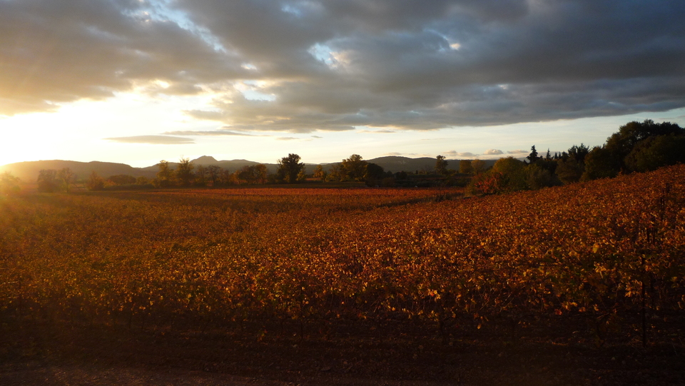 Le domaine des Chemins de Carabote